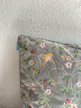 Cojines decorativos de terciopelo !!!!