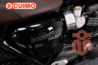TRIUMPH BONNEVILLE T120