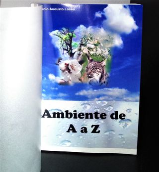 Ambiente de A a Z de António Augusto Lopes