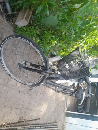 Bicicleta Kalkhoff All Round