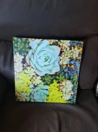 Quadri Decorativi Cactus Succulente. 3x1