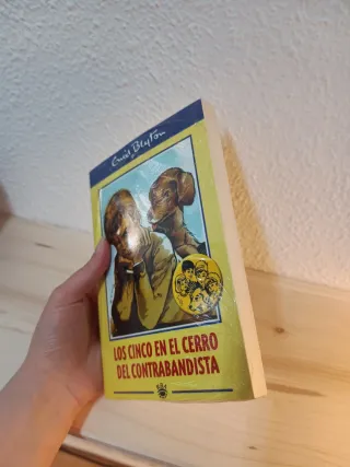 Los cinco en el cerro del contrabandista