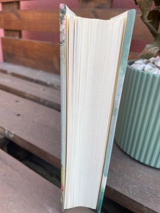 Al Otro Lado Del Espejo