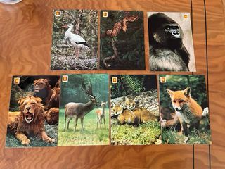 Postales animales Escudo de Oro