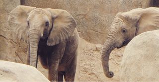 Cámara Panasonic Lumix DMC FZ45 + Accesorios