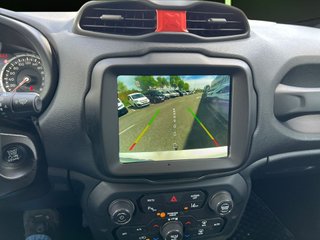 Jeep Renegade 1.6 Multijet TrailHawk 4x4 Low Auto 125 kW (170 CV)