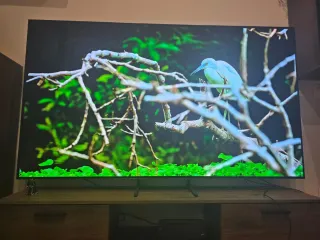 Televisor Samsung de 83p OLED, en impecable estado