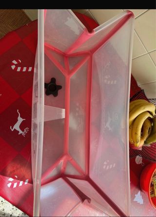 Bañera con soporte para tumbar el bebe