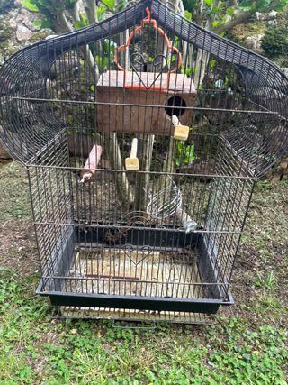 Jaula para pájaros con casa y accesorios