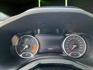 Jeep Renegade 1.6 Multijet TrailHawk 4x4 Low Auto 125 kW (170 CV)