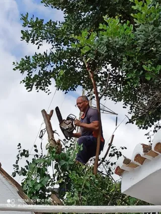 Jardineras Pepe