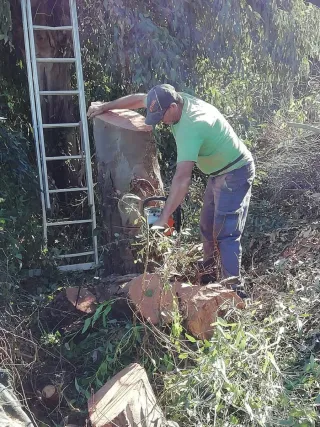 Jardineras Pepe