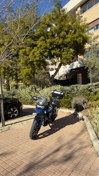 Triumph Tiger 900 GT Pro Azul