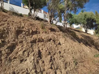 JARDINERIAS PEPE