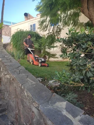 JARDINERIAS PEPE