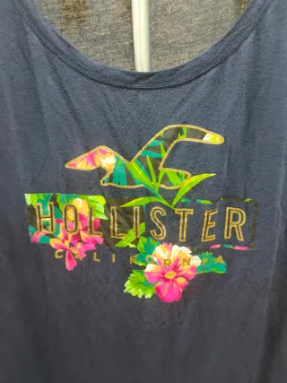 Camiseta Hollister Azul Multicolor