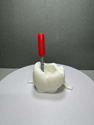 Figura Muela Articulada con Lima