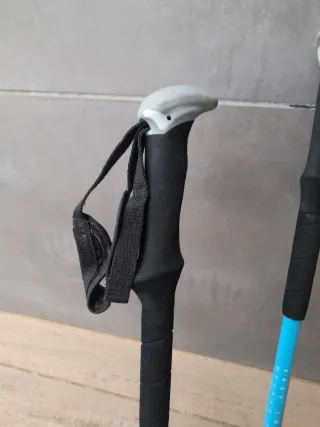 Bastones de trekking CLAM Easy Locking