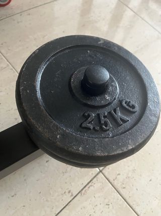 Barra de pesas 165 cm + 10 kg