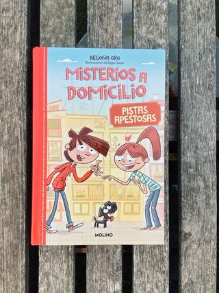 Libro “Misterios a domicilio”