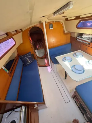 Puma 26 Velero