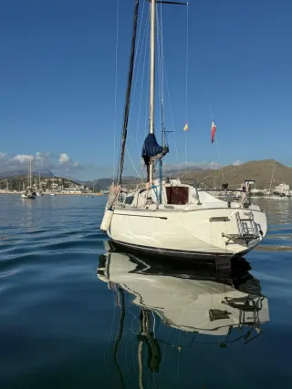 Puma 26 Velero