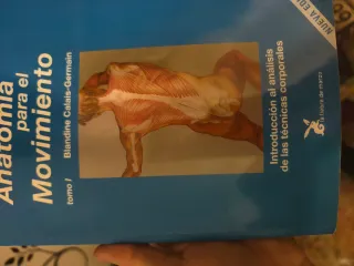 Anatomia Para El Movimiento I (Spanish Edition)