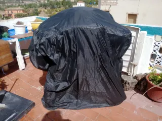 Barbacoa de gas Weber