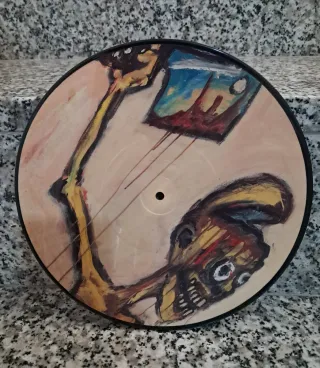 5 Discos de Vinilo Picture Disc Coche Clásico