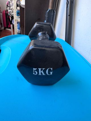 Mancuerna 5KG