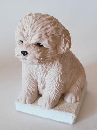 Barboncini Bichon in gesso ceramico