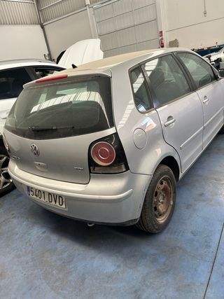 Volkswagen Polo en piel