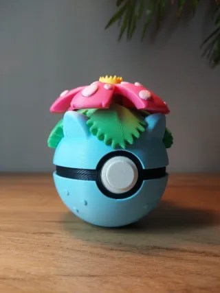 Estuche Pokeball Personalizado