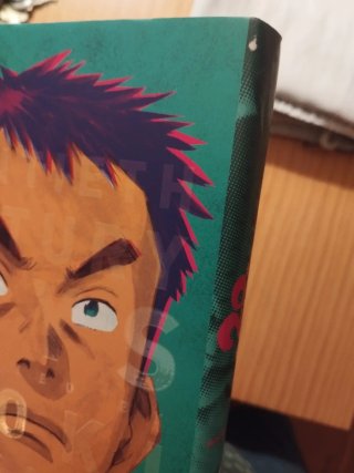 20th century bois manga