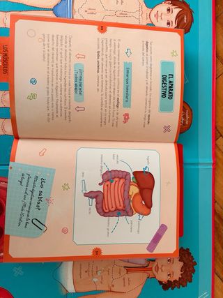 Juego infantil Descubriendo Mi Cuerpo