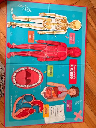 Juego infantil Descubriendo Mi Cuerpo