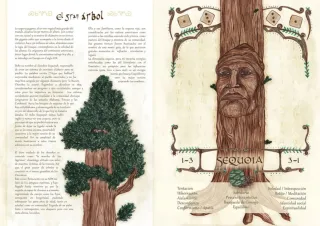 Bosque de las Suertes