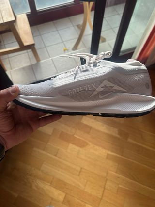 Nike Pegasus Trail 5 GTX Talla 42