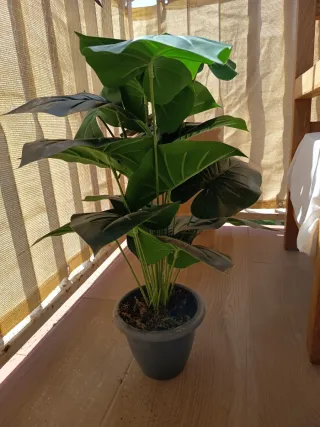 Planta Artificial Decorativa