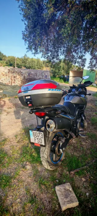 Suzuki DL650 V-Strom