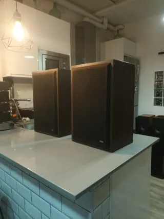 Altavoces VIETA Vintage PR-3