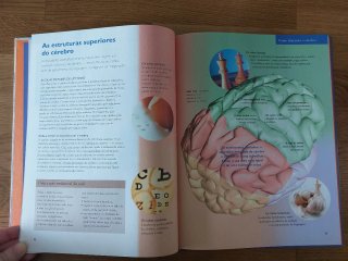 Livro Cérebro e Sistema Nervoso Central