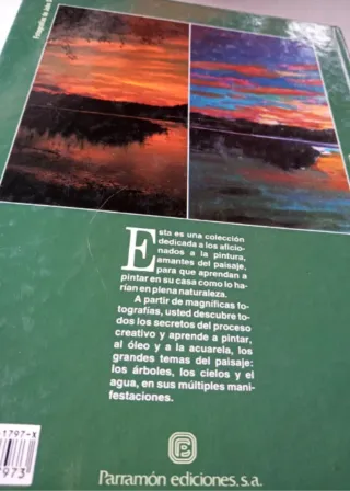 Cielos - Temas Para Pintar al oleo.