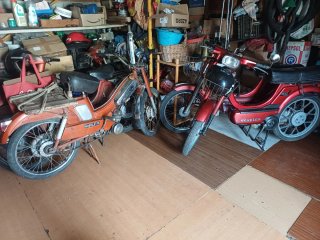 Vespino SC Roja Mobylette.  T max . F9