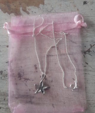 Colgante Estrella de Mar Plata 1ª Ley