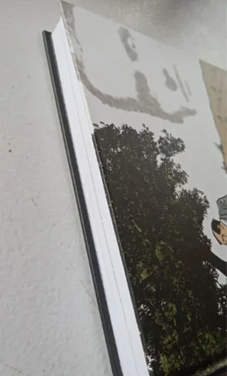 La araña del olvido. Enrique Bonet.