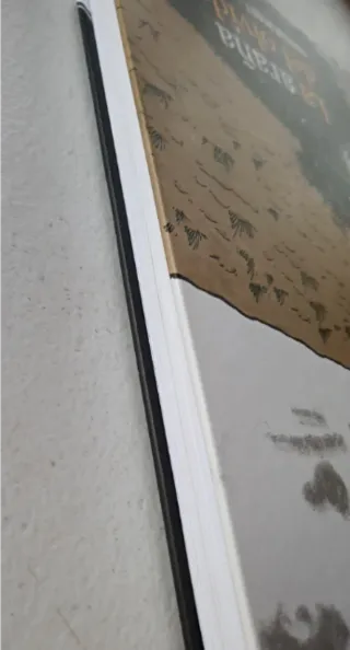 La araña del olvido. Enrique Bonet.