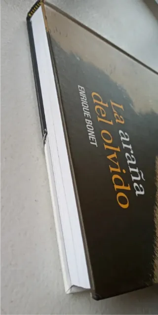 La araña del olvido. Enrique Bonet.