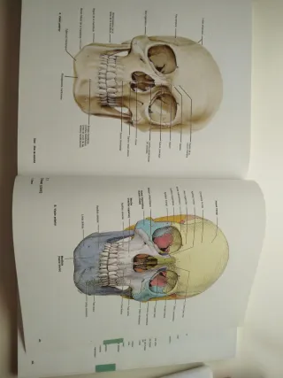 Atlas de Anatomía Humana - Grant