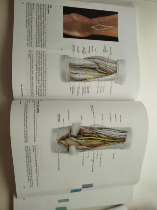 Atlas de Anatomía Humana - Grant